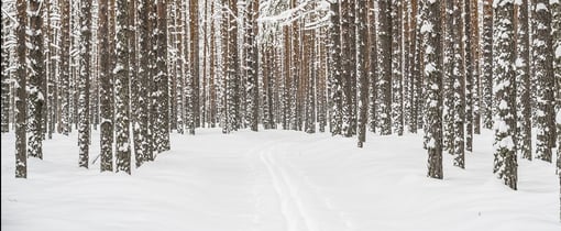 Mitä olen oppinut markkinoinnista ja huippu-urheilusta?